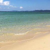 えり先生